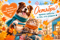 Яркий октябрь в «Доктор Вет»